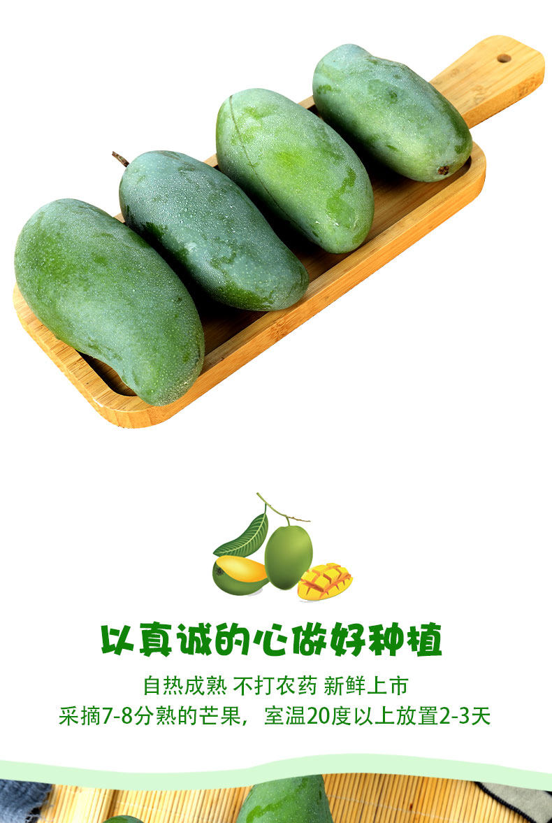 越南进口 玉芒 9斤 单果重300-400g 图5