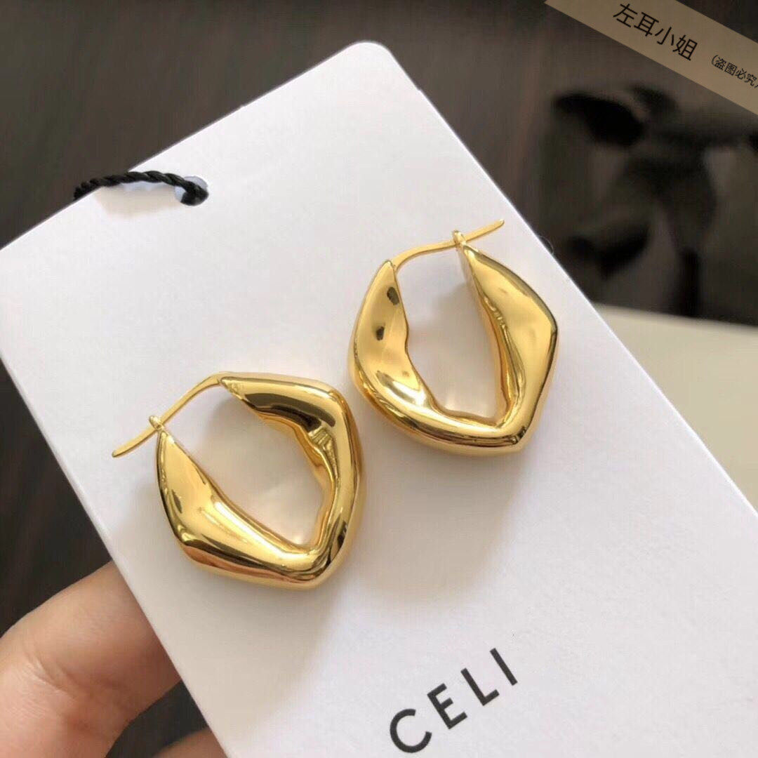 celi wind superior sense geometric earrings female brass gilded profiled ear pin temperament minimalist lukewarm INS wind