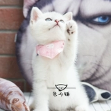 Шарф, слюнявчик, шейный платок, мультяшный аксессуар