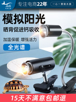 Turtle backlight reptile calcium insulation lighting bulb lighting tortoise lamp