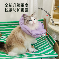 ПЭТ Элизабет 伊丽莎白圈猫项圈幼猫防舔防咬防水脖圈猫咪绝育小型犬保护软头套