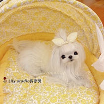 Lily studio original handmade pet hairpin Yorkshire Shih Tzu Maltese lace Rabbit ears head flower