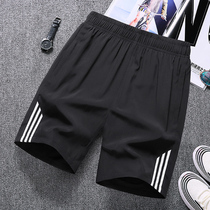 Outdoor summer sports shorts mens fat plus size big pants running casual quick-drying five-point pants beach pants women