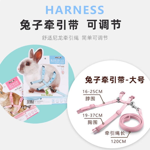 Новая эйдж Новый Анджи кролик, связанный с кроличьим кроличьим кроличьим кроличьим кроличьей кроличьей голландской свиньи