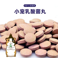 Должности молочных кислот бактерий таблетки 50 питания зерна Пробиотические пробиотики голландская свинина, дельфин, крысы, кроличьи кролики, кролики, продукты морской свиньи, продукты