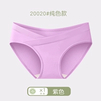 Purple 1 модель установки 20020