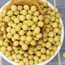 【吻吻滋】农家有机黄豆真空包装500g