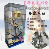 Медовый просмотр клетки клетки меда.