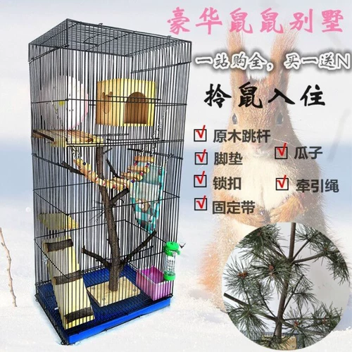 Медовый просмотр клетки клетки меда.