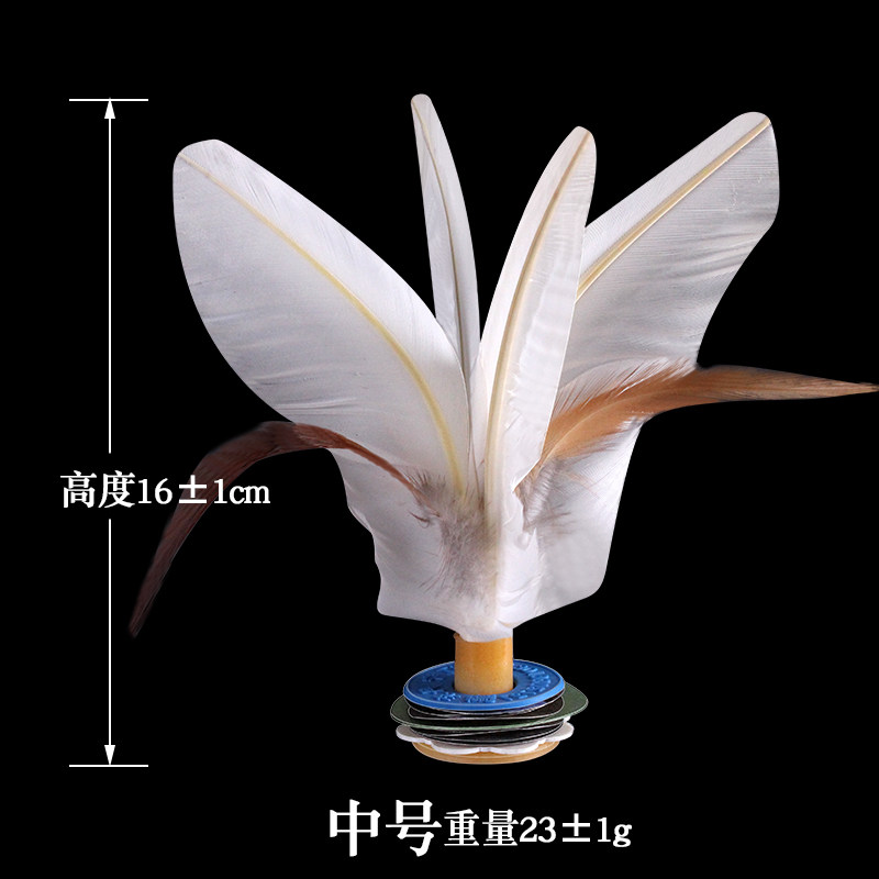 Dandong Golden Dragon Shuttlecock Competition special training adult fitness children's primary school students kindergarten resistant to kicking chicken feather shuttlecock