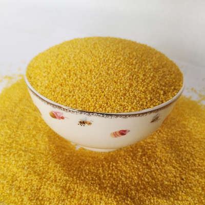 【碧优源】新米赤峰大金苗黄小米5斤