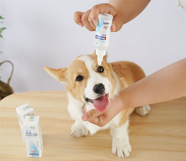 Liangjie Eye Drops Thuốc nhỏ mắt cho thú cưng Thuốc nhỏ mắt kháng khuẩn và chống viêm Thuốc nhỏ mắt để loại bỏ nước mắt từ chó và mèo Thuốc nhỏ mắt - Thuốc nhỏ mắt