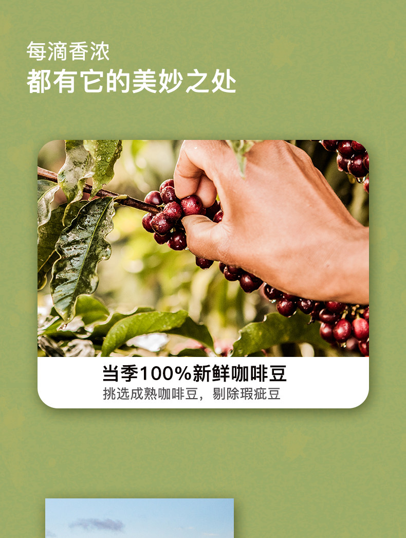 巴西进口 三心冻干速溶黑咖啡 100g*2瓶 巴西咖啡协会认证 图7