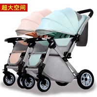 Двухцветный, съёмный, дракон и феникс