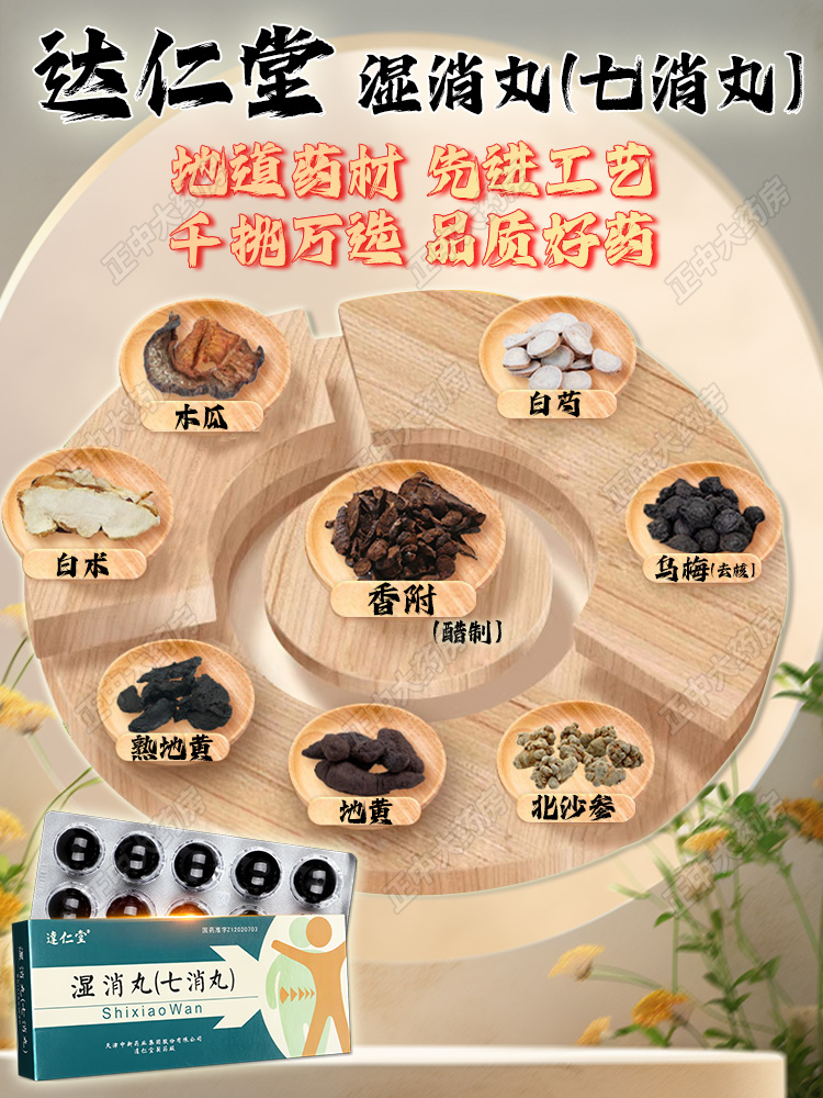 【中国直邮】达仁堂 湿消丸 七消丸 健脾祛湿 调理脾胃 排湿祛毒 9g*10丸/盒