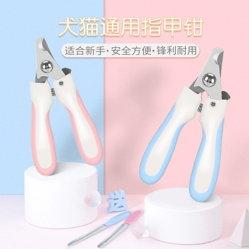 Кошка с ногтевым галстуком щенком, кошками, ножом ножом, кошкой, ножницами, шлифовальными доспехами, плюшевыми кошками продуктами