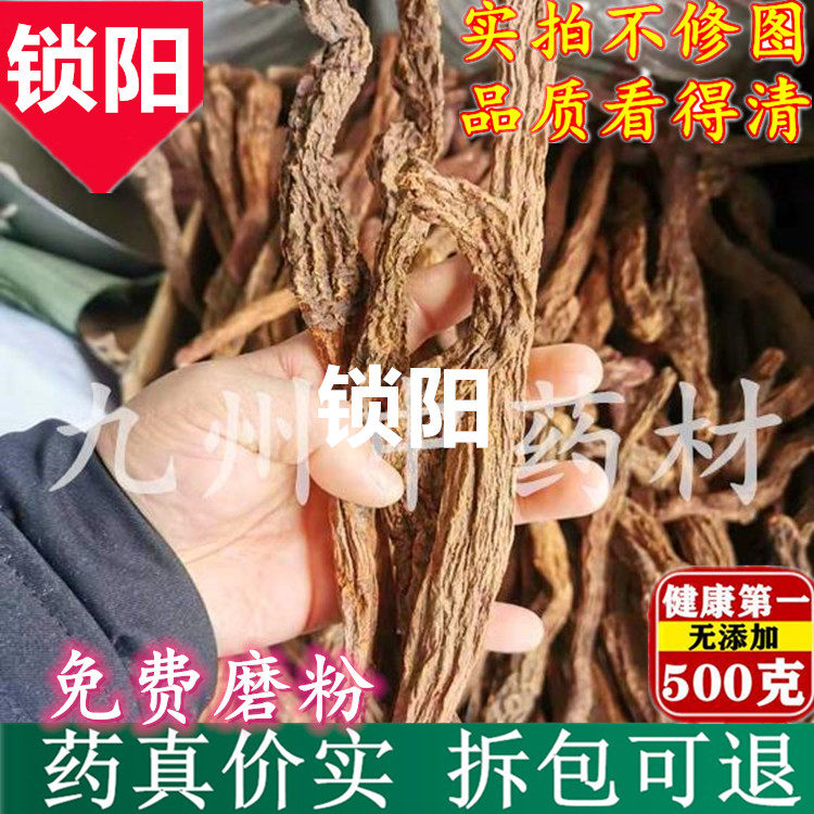 Cynomorium Chinese Herbs 500g Suoyang City Cynomorium bar wine can be paired with Cistanche