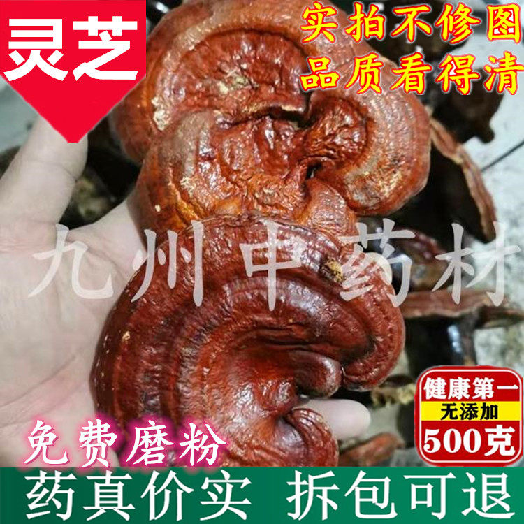 Ganoderma lucidum slices 500g wholesale Changbai Mountain new product purple Ganoderma red Ganoderma lucidum a Northeast specialty
