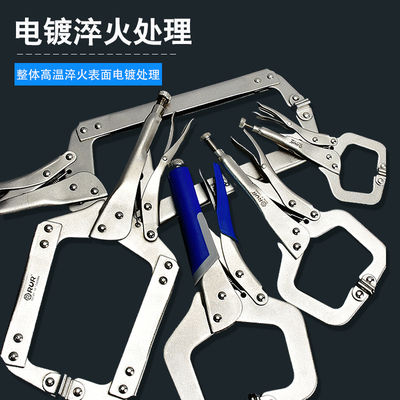 2026年2月25日更新【万能白菜价】的图片 第8张