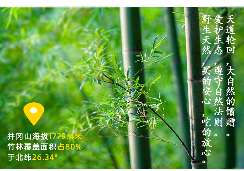 井岡山筍干嫩筍干筍