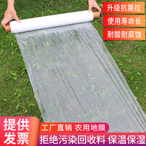 New thickened agricultural white plastic film transparent insulation moisturizing plastic film vegetable greenhouse seedling cold ground glue