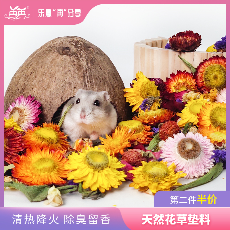 Hamster Flowers And Grass Mat Material Golden Silk Bear Deodorant Wood Chip Mat stock Summer cage Nest Building View House Adornment Kit Complete