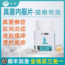 Pet Dog Dog Skin Disease Cat Ringworm Toe Interatopic Dermatitis Treatment Pruritus Infection Special Drug Kingfur Dog With Fungus Sheet