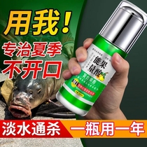 Fruit acid fishing small medicine wild fishing black pit competitive additive bait supplies carp crucian carp special fish lure nest material