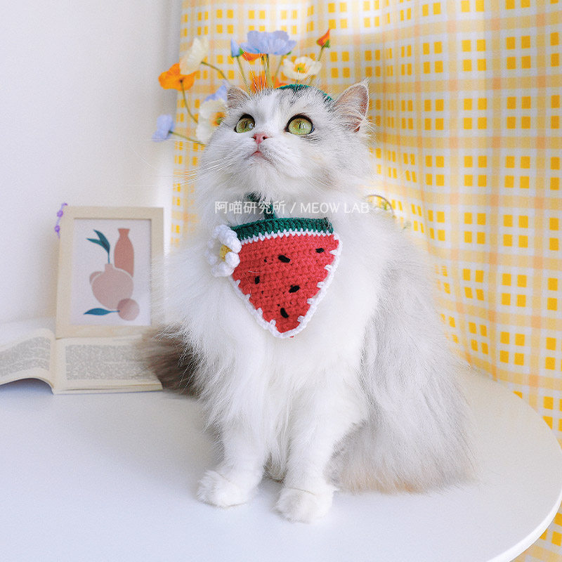 A Meow Research Institute original new product cat scarf summer cute watermelon hat pet saliva towel hand-woven