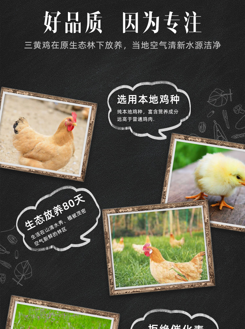 正宗农家散养三黄鸡 2斤*2只 图3