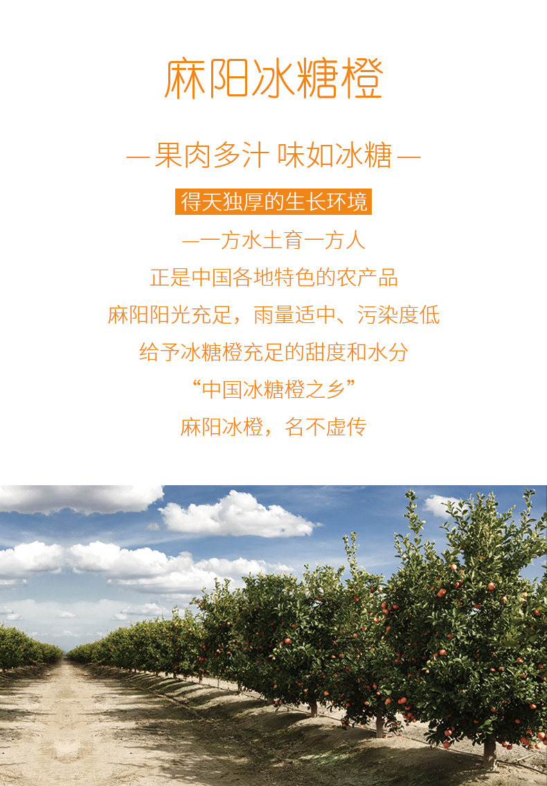 湖南麻阳冰糖橙 9斤 图1