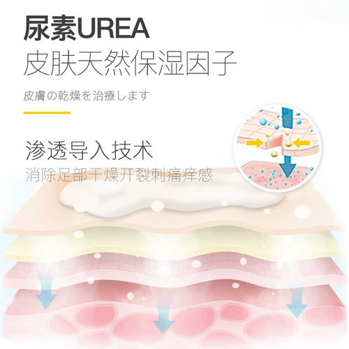 Комплект, восстанавливающий крем с мочевиной, увлажняющие напяточники, 3 предмета, против трещин