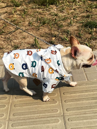 Дождливый день собаки и собаки, FA DOA AI GE DI CORGI Водонепроницаемая дождевая одея