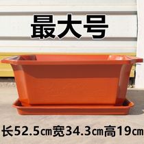 Sifang plastic flowerpot indoor rectangular lace ancient rhyme bonsai flower pot seedling planting vegetable Special