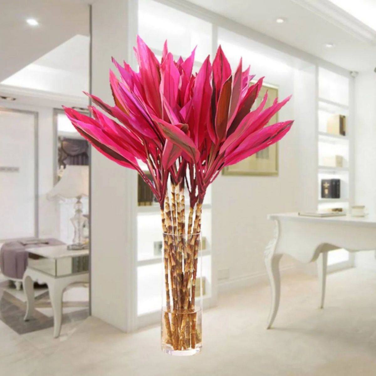 Rich Expensive Bamboo Water Bacon Plant Flowers Guanyin Bamboo Flower Potted Office Green Plant Indoor Decontamination Air