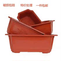Special Rectangular flowerpot plastic flowerpot bonsai Polygon extra large flowerpot