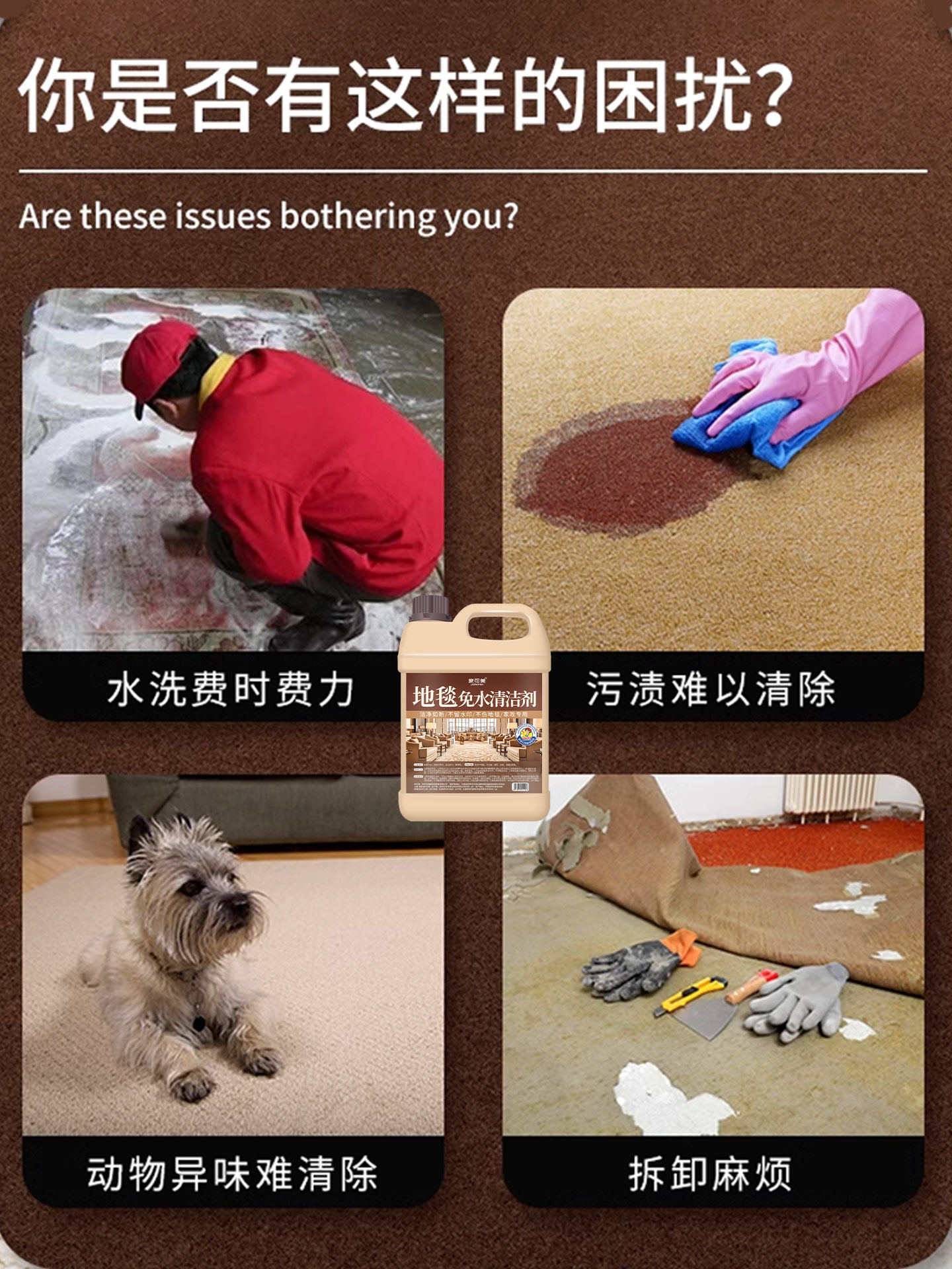 Carpet Cleaning Agent, No Water Needed, Removes Stubborn Oil Stains, Hotel Use, Wool Blanket, Tech Fabric Dry Cleaning Detergent