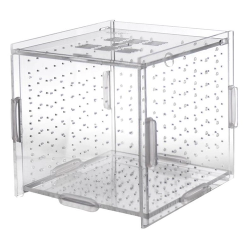 Разделение коробки сети поверхностной рыбы ящик для изоляции новорожденных охраны опекуны молодой карантинная коробка инкубационная коробка