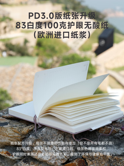2025一日一页A6蛇年日记本paperideas效率手册日程本416页计划本笔记本ins风打卡加厚记事本企业可定制logo