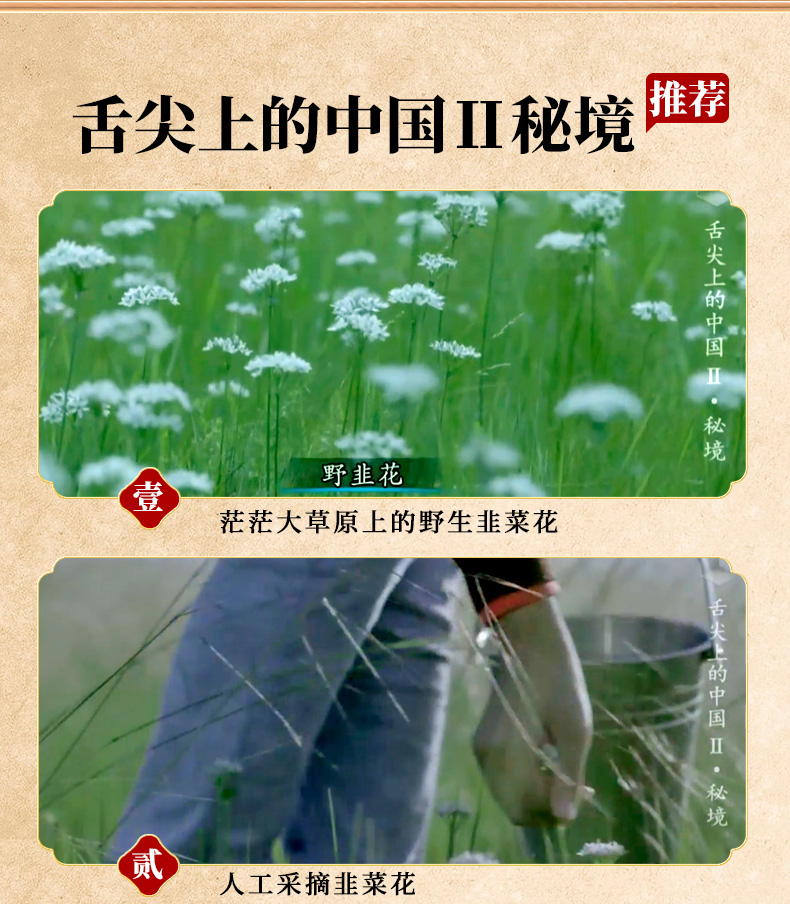 舌尖上的中国内蒙古农家特产野生韭菜花酱