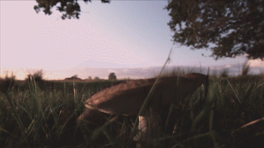 PS插件合集滤镜全套影楼磨皮调色抠图降噪一键安装 支持CC2018920