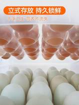 Refrigerator egg storage box kitchen refrigerator home fresh storage box dumpling box plastic drawer egg box