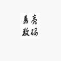 嘉亮数码