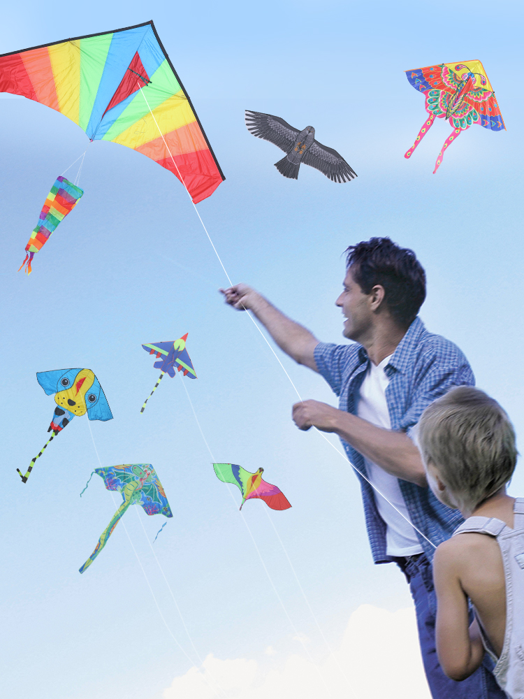 2020 new weifang kite children eagle aircraft beginners to heavy large high-grade small breeze easygroup