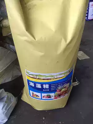 Algae fine Seaweed Fertilizer Concentrated Seaweed Fertilizer 25kg Chinese Wood Chemical Enzymatic Hydrolysis