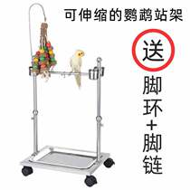 Parrot station stand stainless steel large small sun starlings Xuanfeng gray parrot anklet anklet stand bird cage bird cage bird shelf