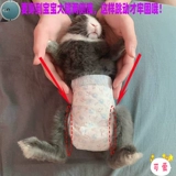 Подгузники кролика небольшая моча для животных кролика не влажная, чтобы предотвратить случайное тяга