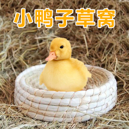 Duckling nest chicken duck grass nest Cole duck nest Home pet house Cute yellow duck chicken nest