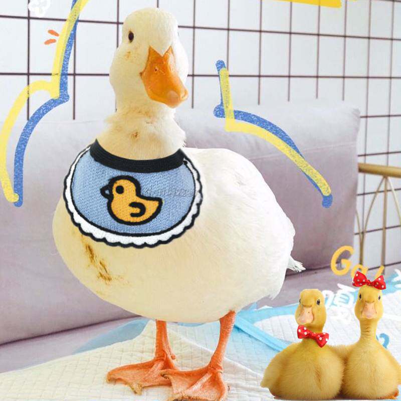 Cole duck clothes live animals ducklings wear clothes Little yellow duck collars Pet duck cute supplies decoration