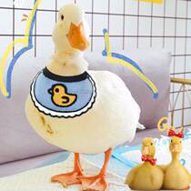 Cole duck clothes live animals Big goose duckling clothes Little yellow duck collar Pet duck cute supplies decoration